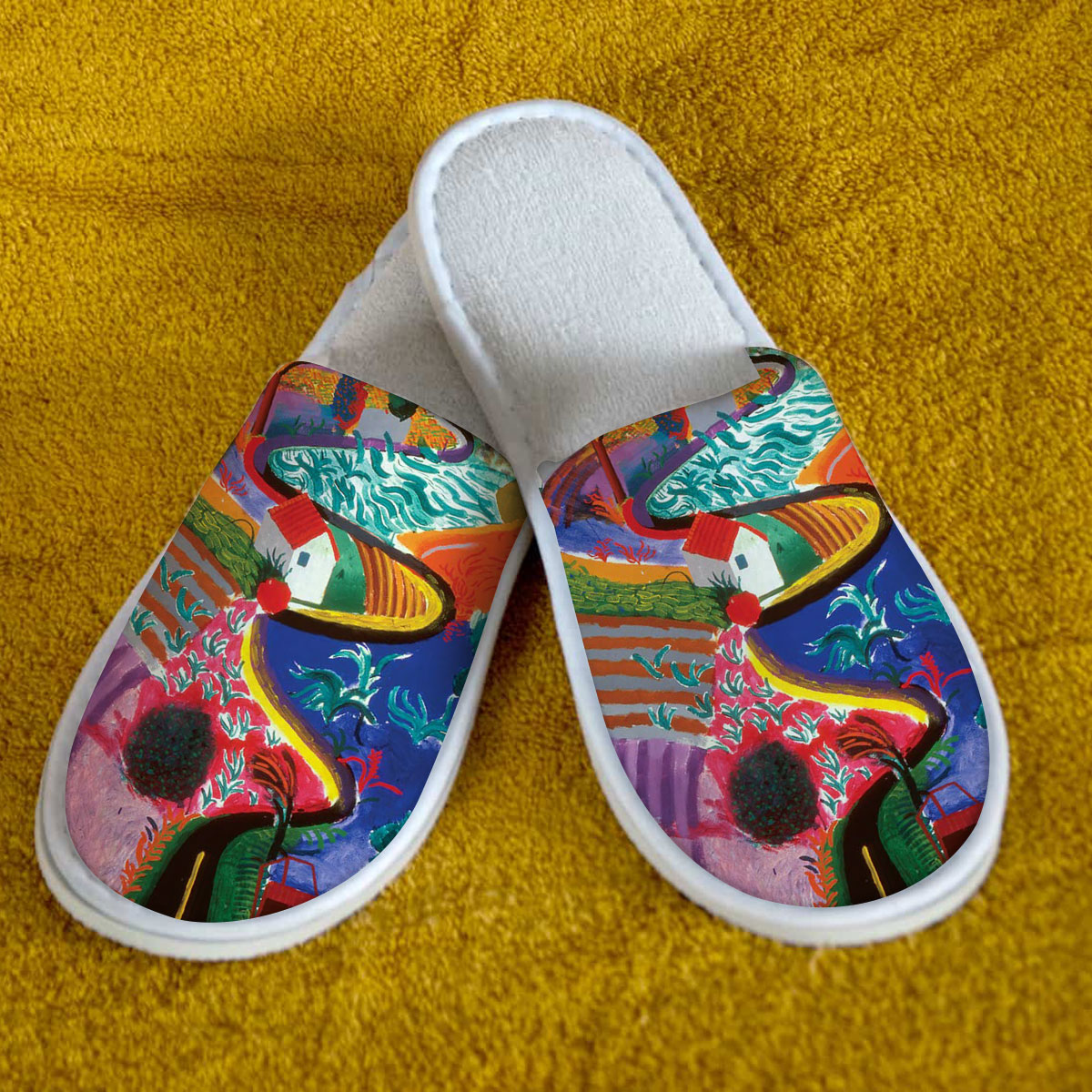 Colorful Canyon Slipper