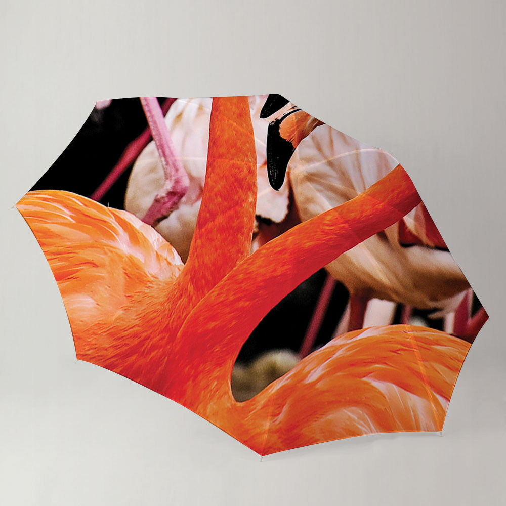 Couple Flamingo Umbrella_1_2.1