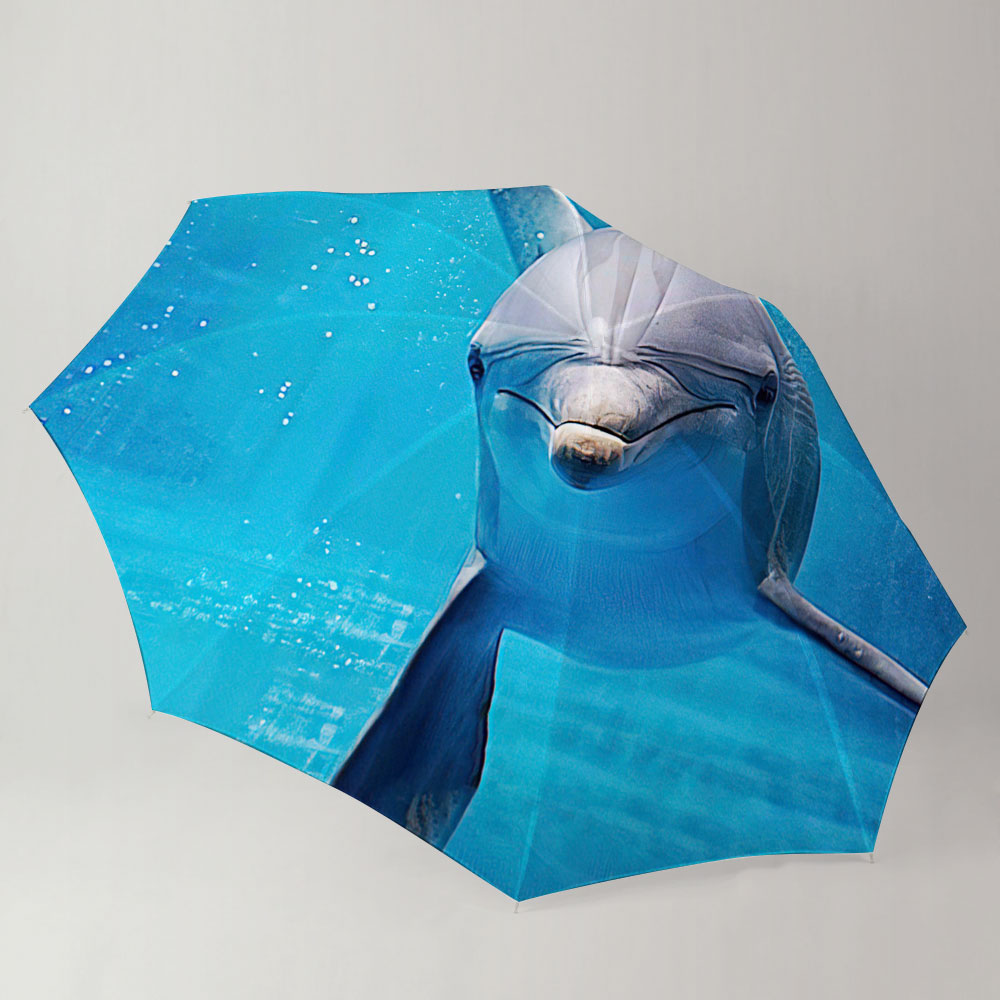 Cute Dolpin Umbrella_1_2.1