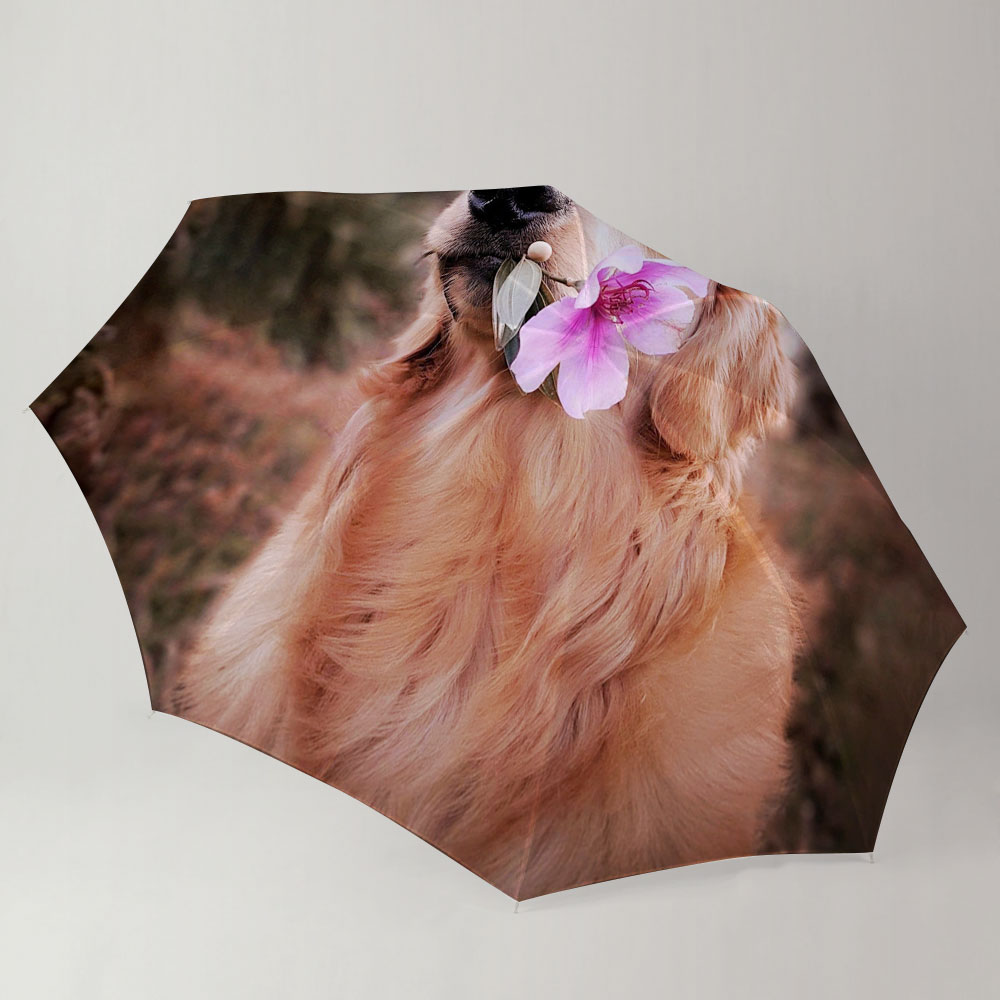 Dog Holding Flower Umbrella_1_2.1