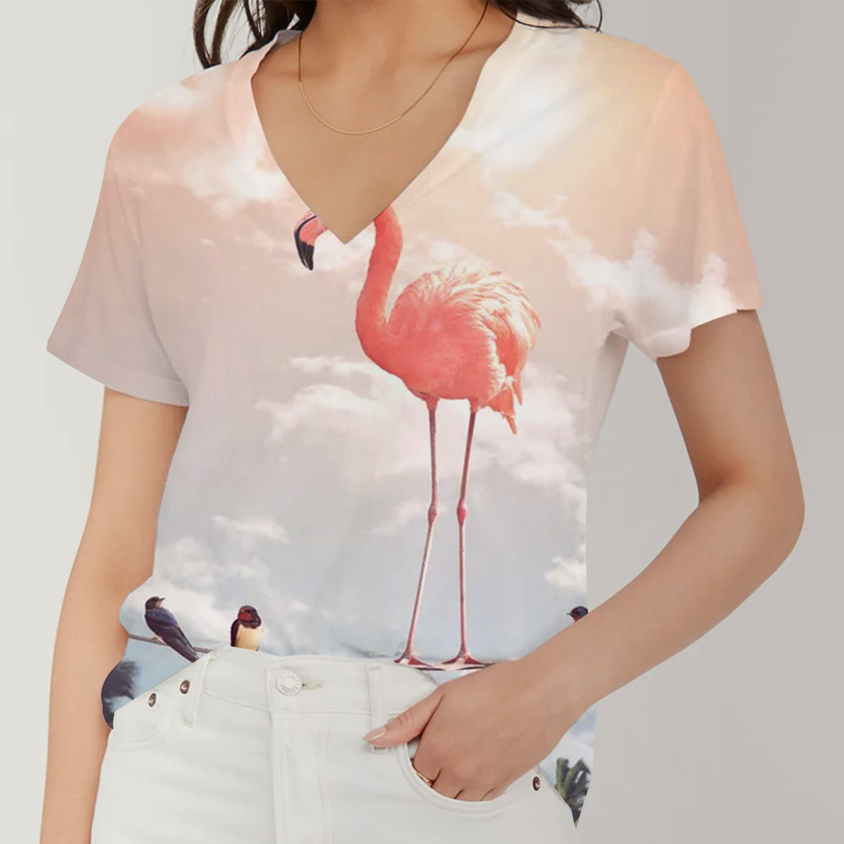 Flamingo And Friends V-Neck Women's T-Shirt_1_2.1
