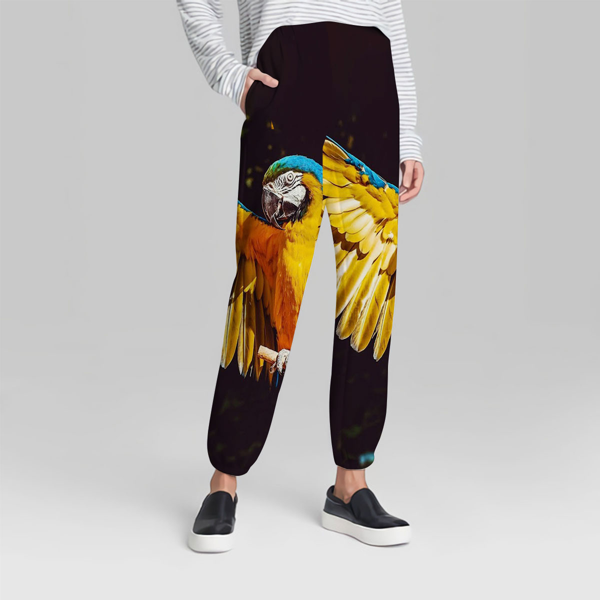 Black And Yellow Parrot Sweatpant