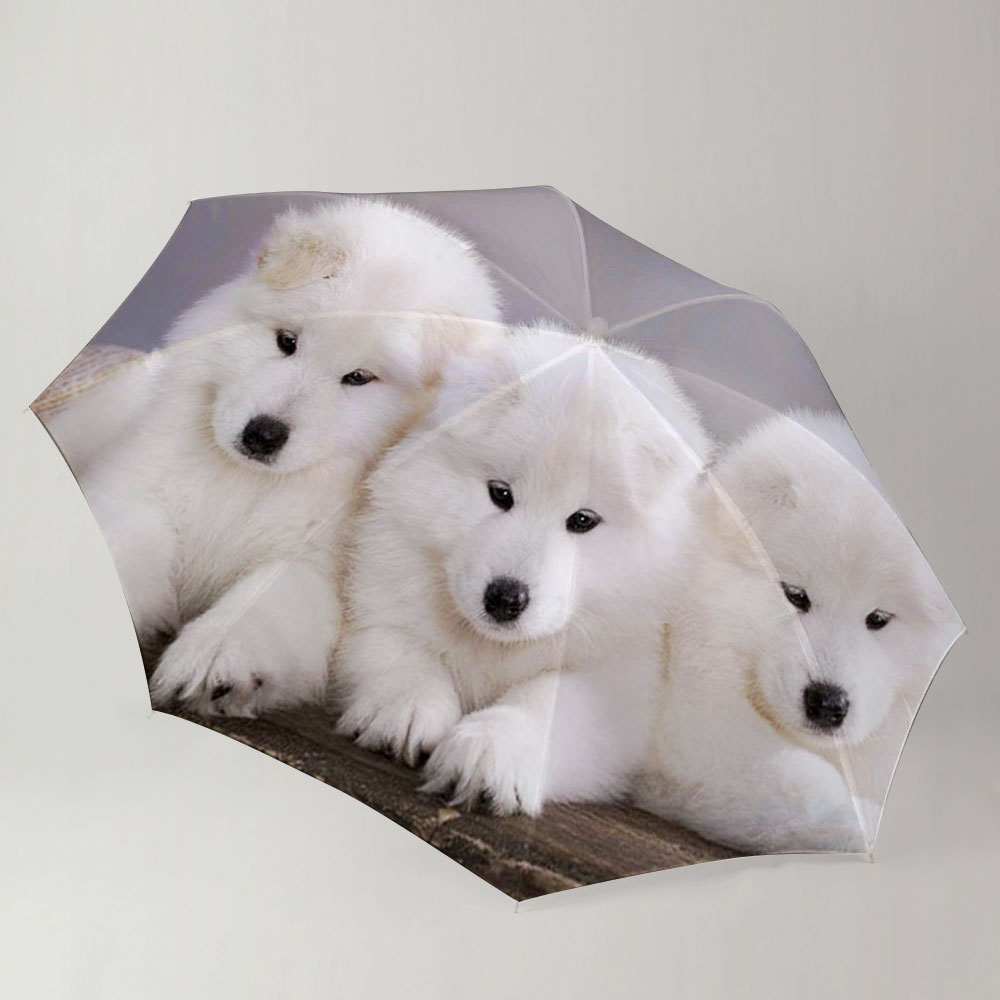 Baby White Dog Umbrella