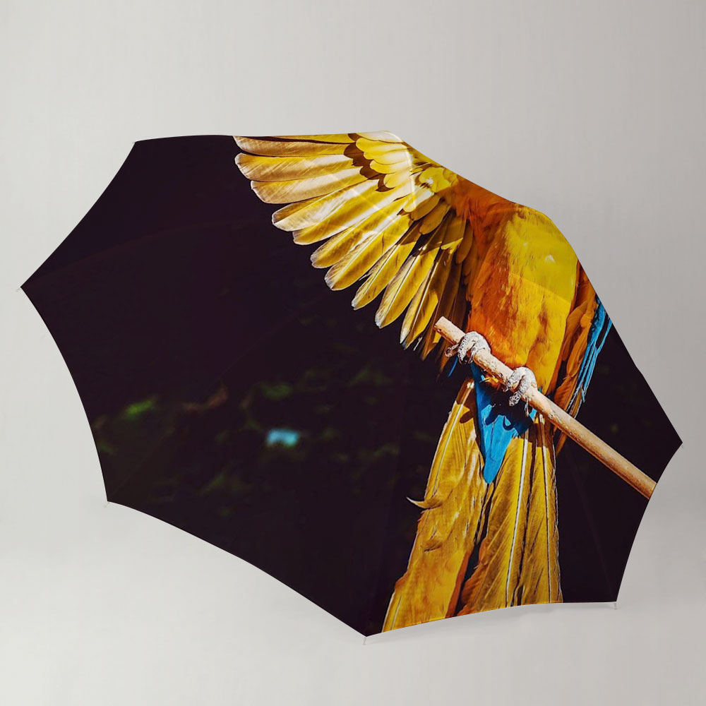 Black And Yellow Parrot Umbrella