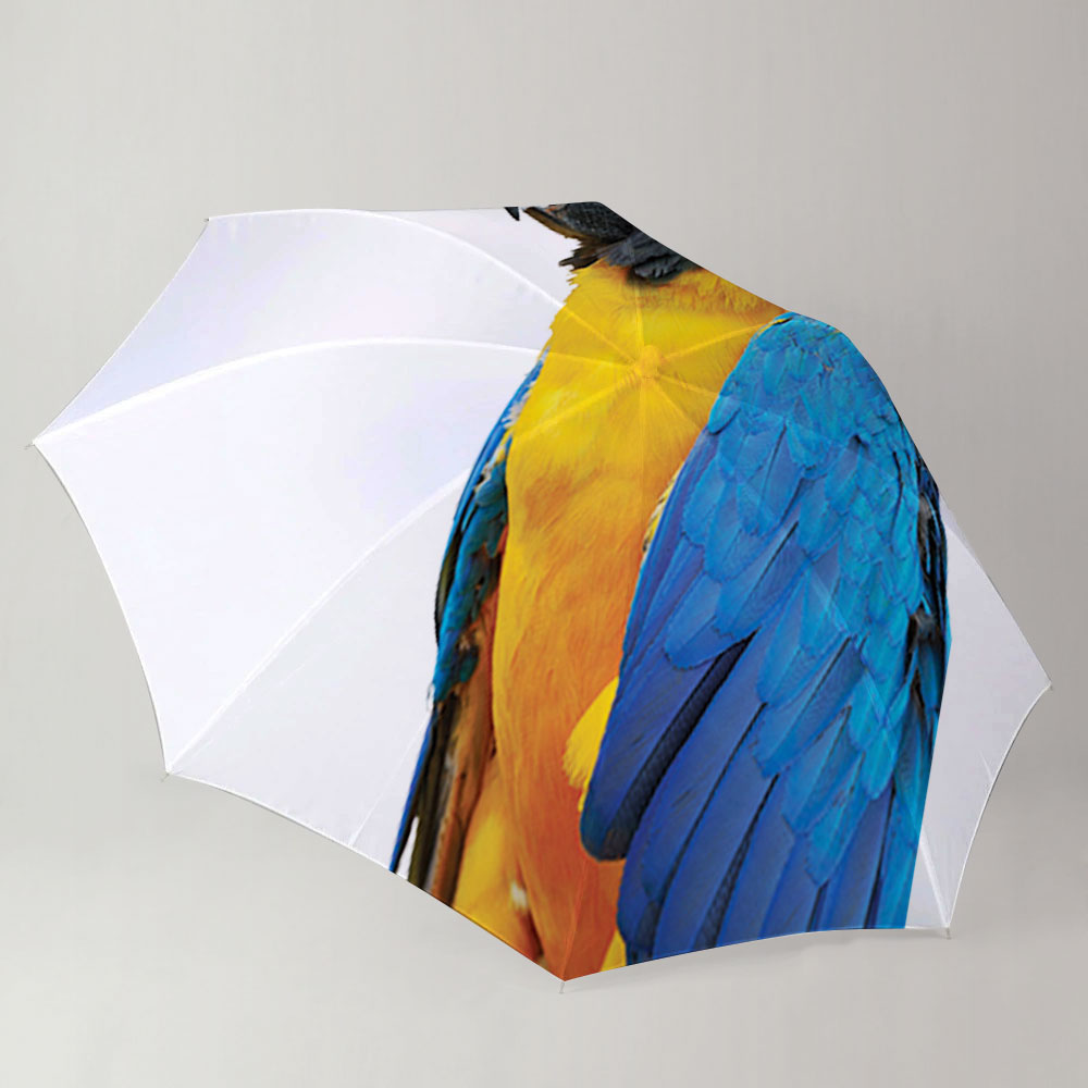 Blue Orange Parrot Umbrella