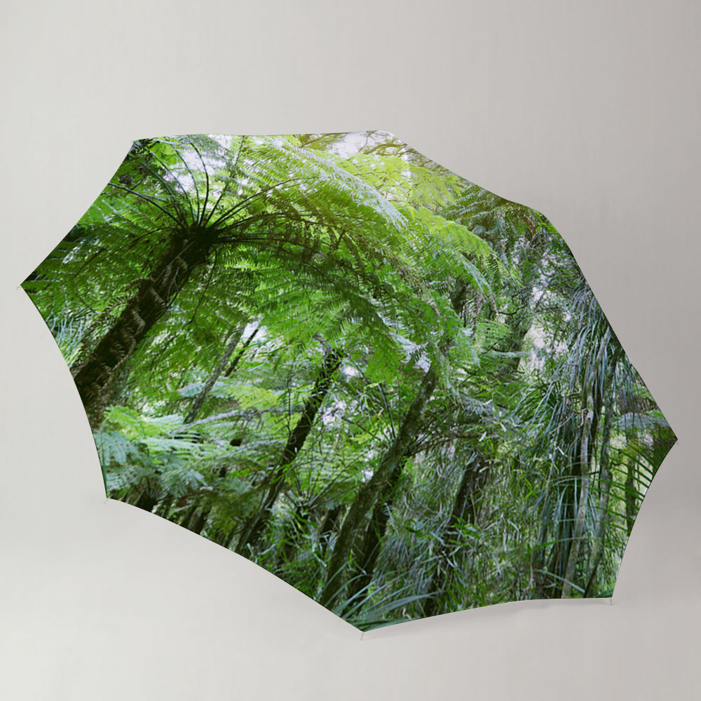 Tree ferns in jungle Umbrella