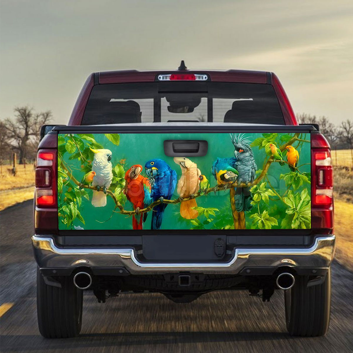 Colorful Parrot Bird Truck Bed Decal