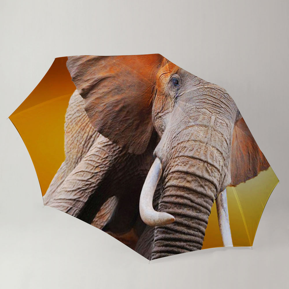 Brown Wild Elephant Umbrella
