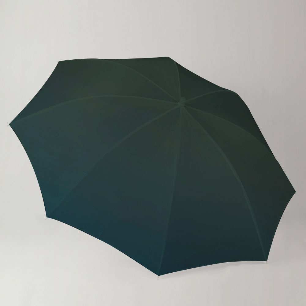 Butterfly At Night pillow Umbrella