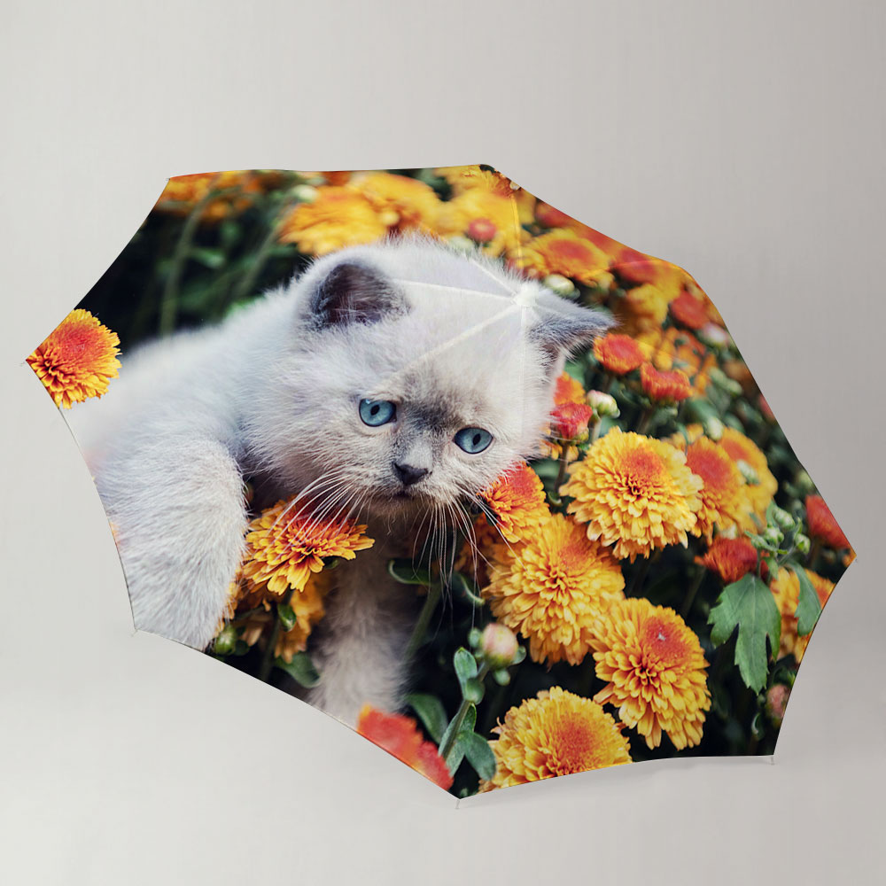 Cat And Flower Umbrella