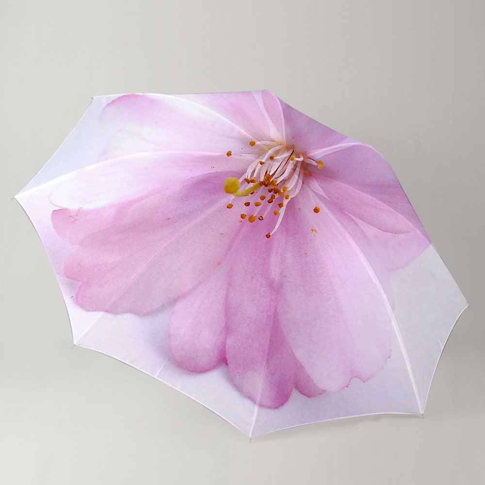 Classic Cheery Blossom Umbrella