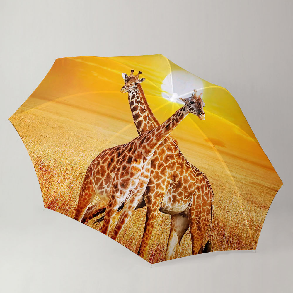 Giraffe Under The Sunset Umbrella_2_1