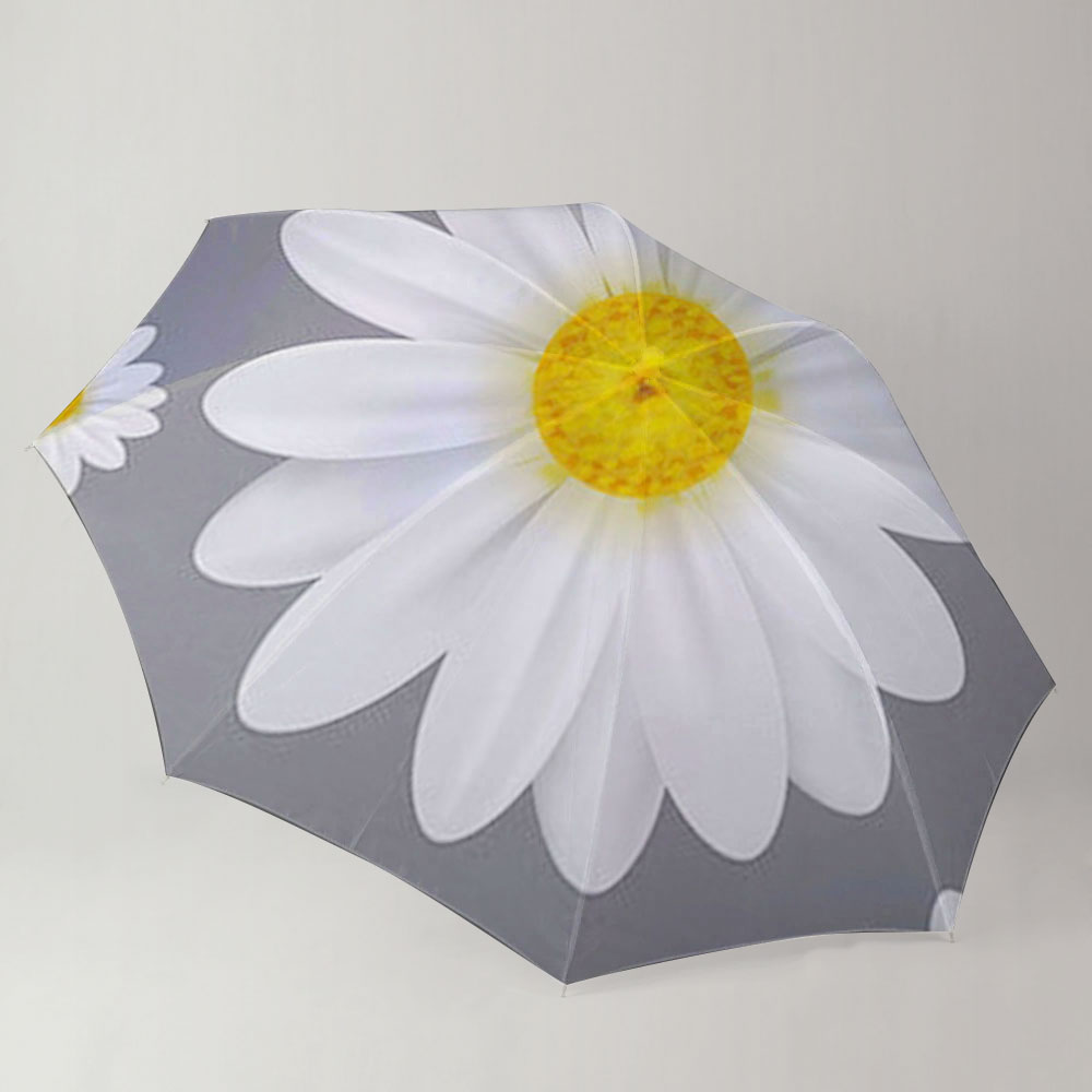 Grey White Daisy Umbrella_2_1