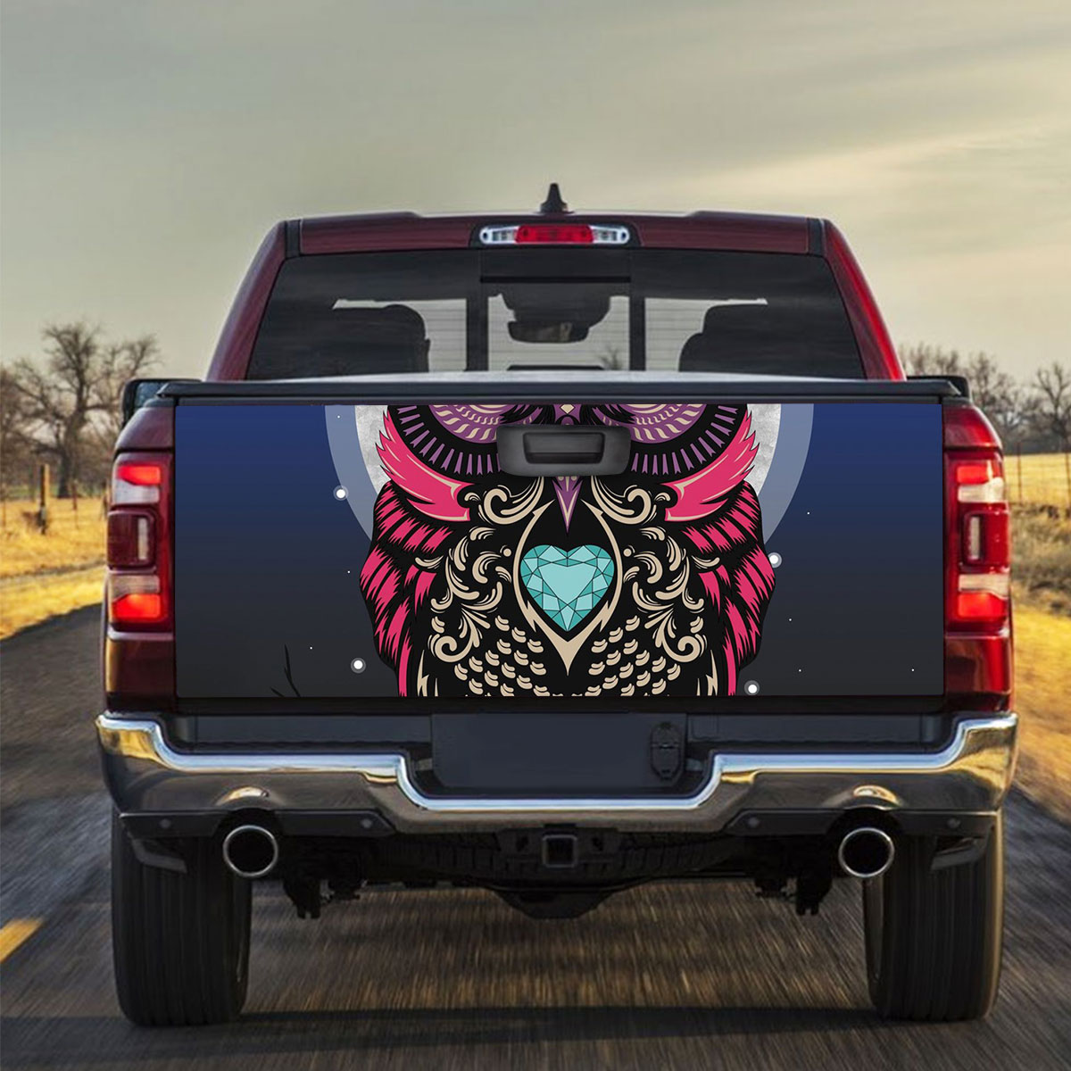 Owl Color Truck Bed Decal