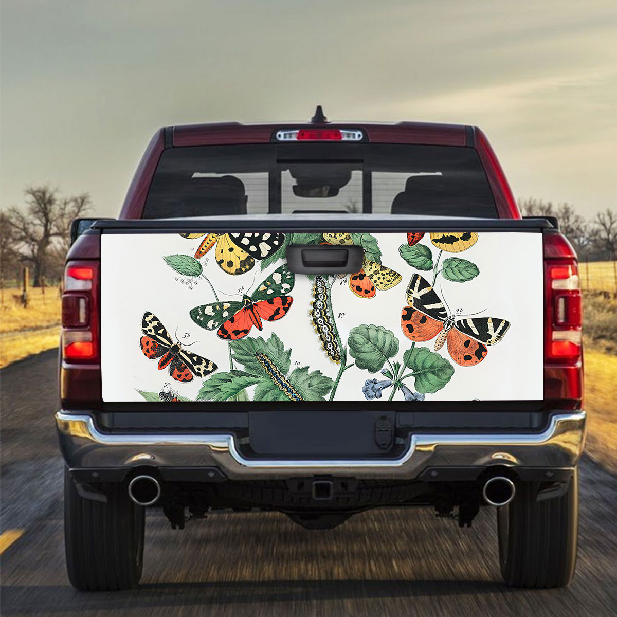 Vintage Butterfly Moth Truck Bed Decal