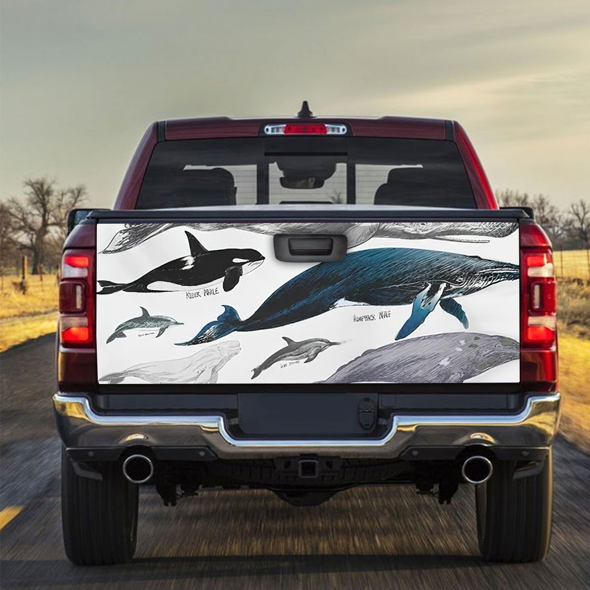 Vintage Whale Truck Bed Decal