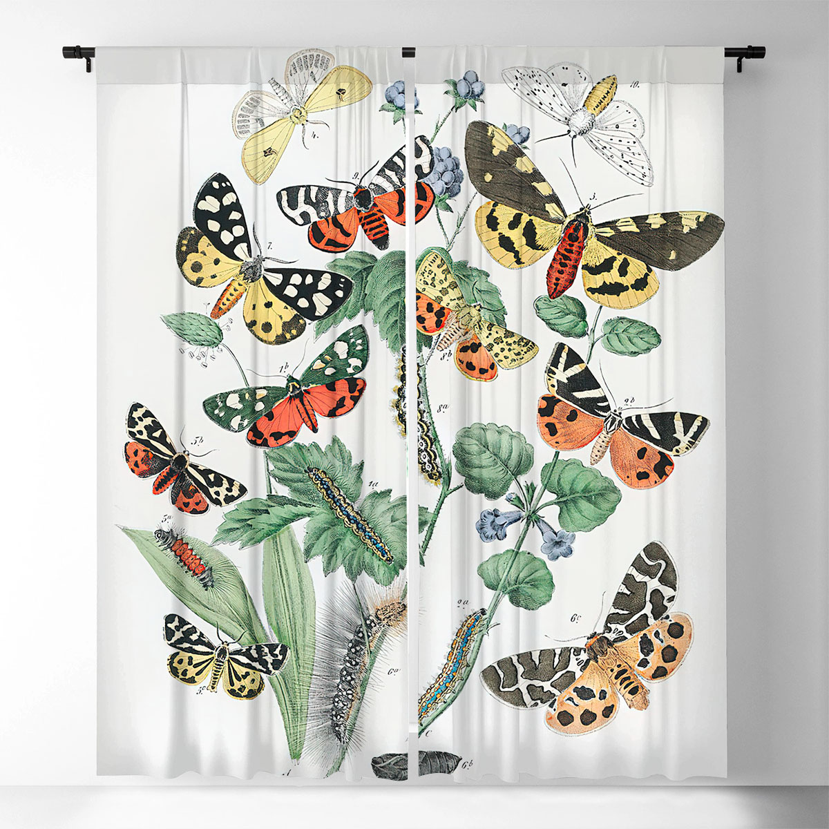 Vintage Butterfly Moth Window Curtain