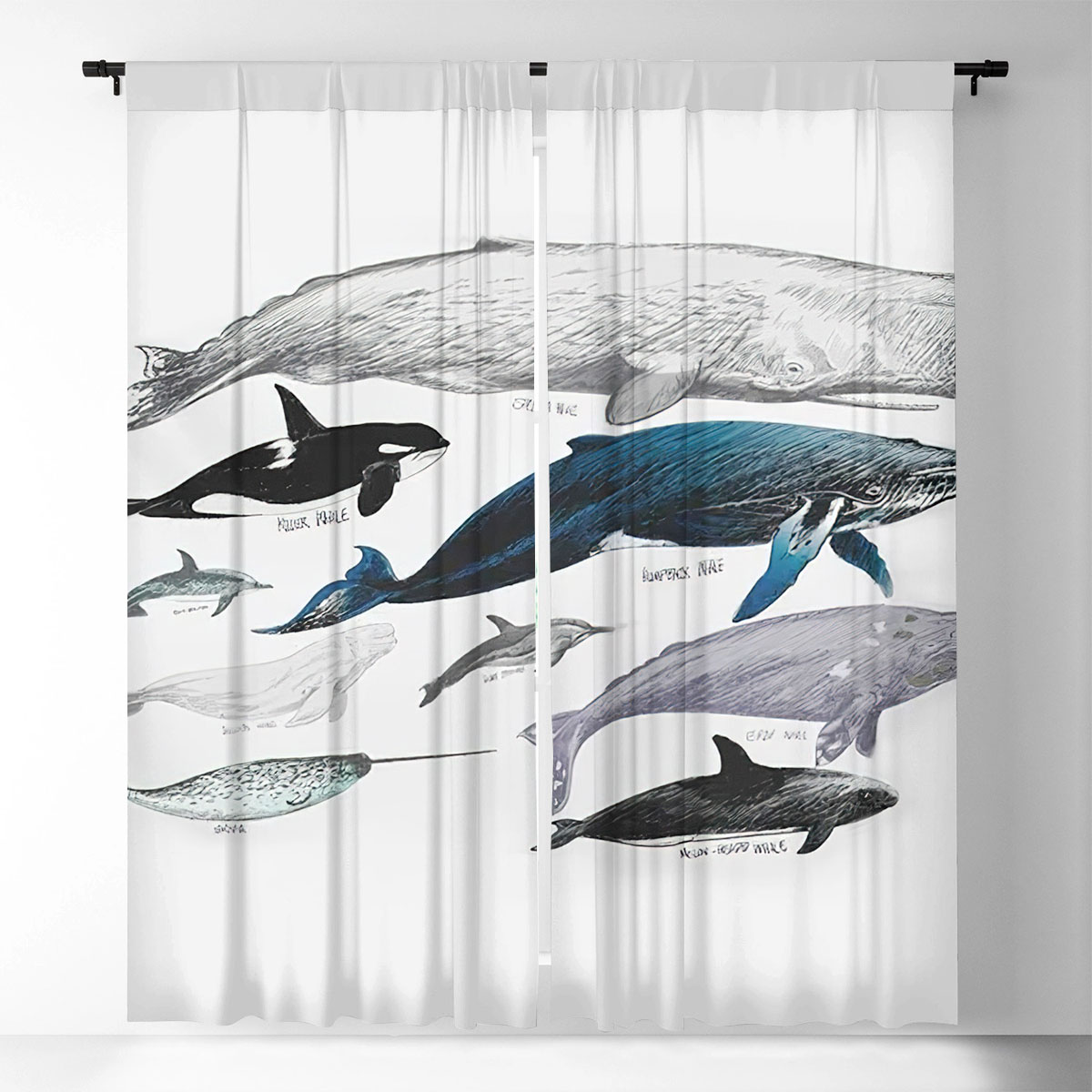 Vintage Whale Window Curtain