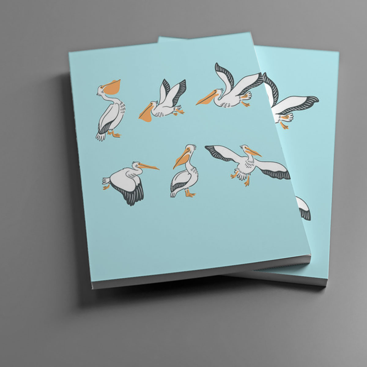 Positions Pelicans Coon Notebook