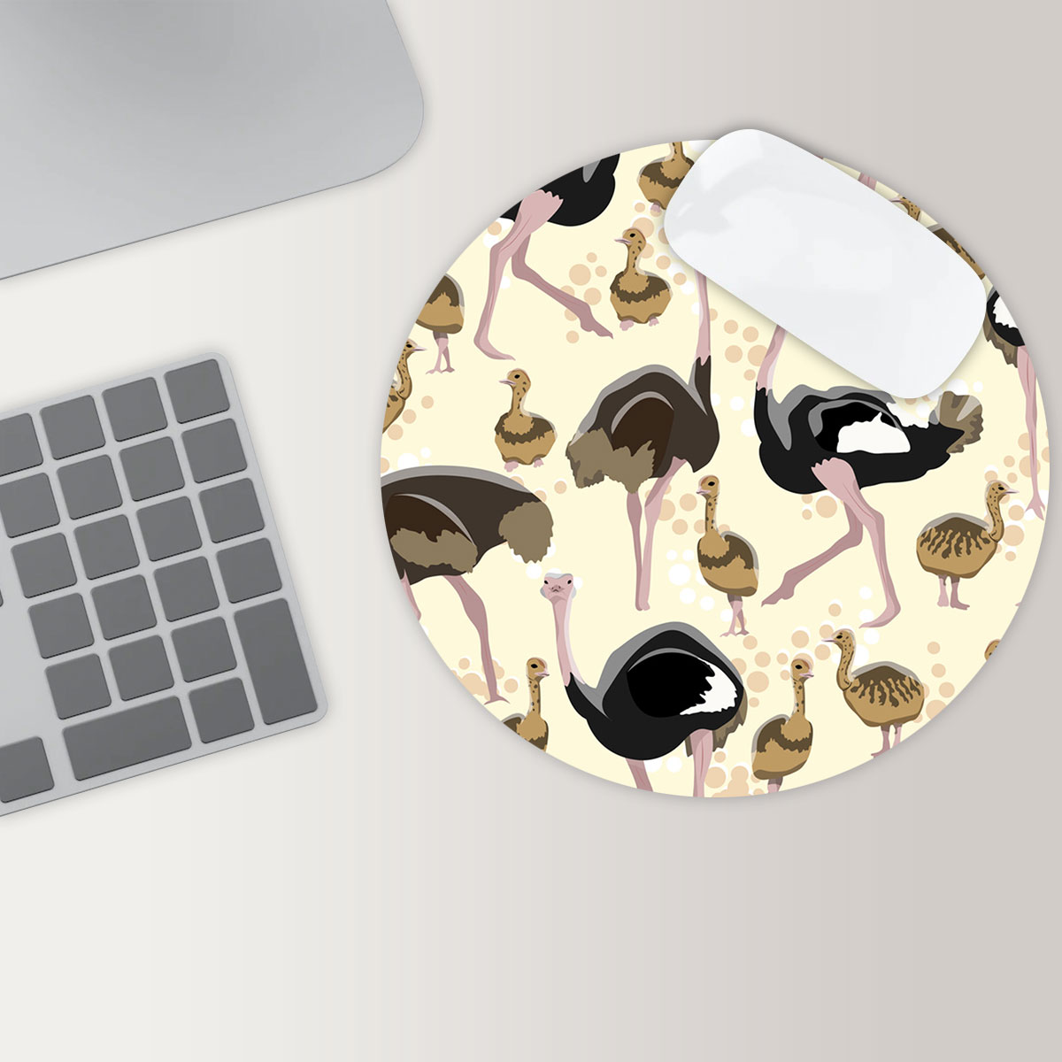 African Ostrich Family Coon Round Mouse Pad 6